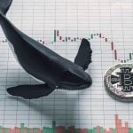 Bitcoin Whale zieht eine halbe Milliarde Dollar an BTC von Coinbase ab, positives Zeichen?0 (0)